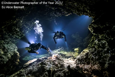 Лучшие подводные фото 2021 года перенесут тебя во впечатляющий мир водных жителей - фото 506445