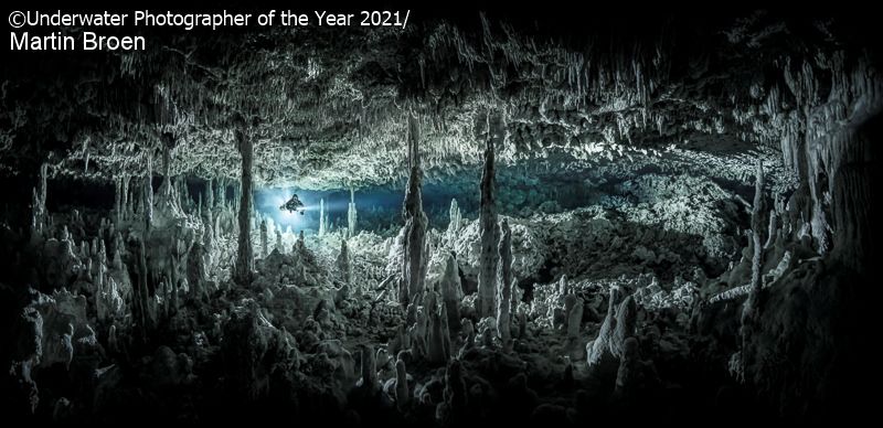 Лучшие подводные фото 2021 года перенесут тебя во впечатляющий мир водных жителей - 506448 Лучшие подводные фото 2021 года перенесут тебя во впечатляющий мир водных жителей - фото 506448