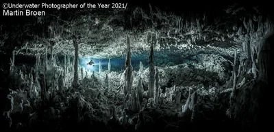 Лучшие подводные фото 2021 года перенесут тебя во впечатляющий мир водных жителей - фото 506448