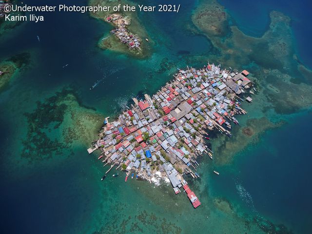 Найкращі підводні фото 2021 року перенесуть тебе у вражаючий світ водяних жителів - фото 506449