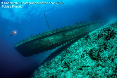 Лучшие подводные фото 2021 года перенесут тебя во впечатляющий мир водных жителей - фото 506452