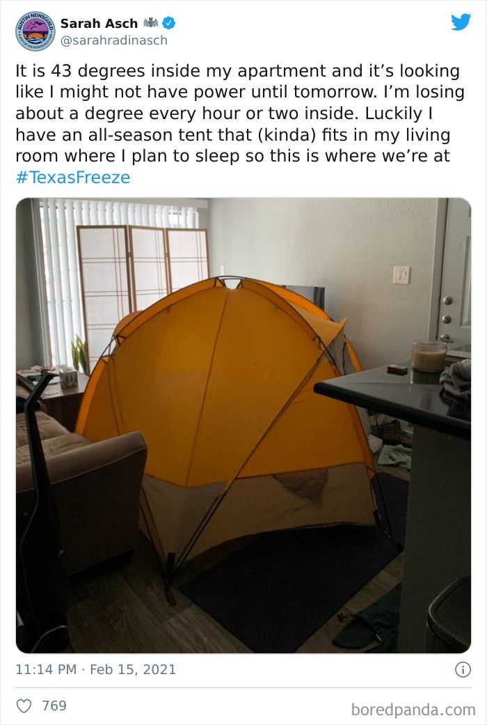 Жаркий Техас накрыла лютая зима, и реакция жителей бесценна - 506752 Жаркий Техас накрыла лютая зима, и реакция жителей бесценна - фото 506752