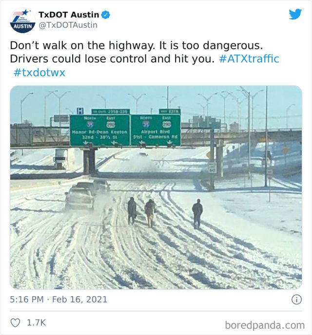 Спекотний Техас накрила люта зима, і реакція жителів безцінна - фото 506759