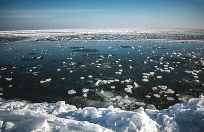 Заледеніла Бердянська коса перетворилася на 'Арктику', і туристи шаленіють від цих видів - фото 507233