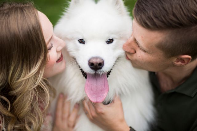 Собаки на свадьбах такие забавные, что им посвятили фотоконкурс - вот победители 2021 - фото 507404