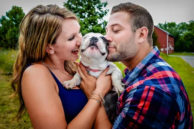 Собаки на свадьбах такие забавные, что им посвятили фотоконкурс - вот победители 2021 - фото 507409