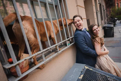Собаки на свадьбах такие забавные, что им посвятили фотоконкурс - вот победители 2021 - фото 507412