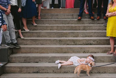 Собаки на весіллях такі потішні, що їм присвятили цілий фотоконкурс - ось переможці 2021 - фото 507414