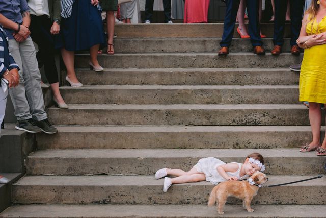 Собаки на свадьбах такие забавные, что им посвятили фотоконкурс - вот победители 2021 - фото 507414