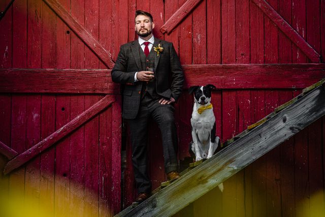 Собаки на свадьбах такие забавные, что им посвятили фотоконкурс - вот победители 2021 - фото 507416