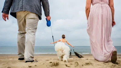 Собаки на свадьбах такие забавные, что им посвятили фотоконкурс - вот победители 2021