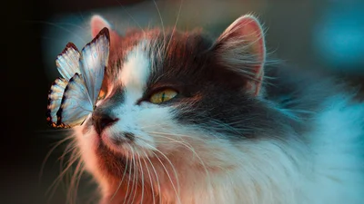 С первым днем весны: картинки для поздравлений и классного настроения