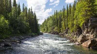 У Канаді річку визнали особистістю – тепер в неї є права і свободи