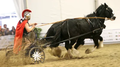 Под разрушенными Помпеям нашли римскую колесницу I века, и вот как она выглядит
