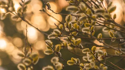 Вот какой будет погода в марте 2021 года в Украине