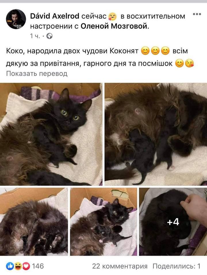 Дэвид Аксельрод сообщил о пополнении в семье - 508399 Дэвид Аксельрод сообщил о пополнении в семье - фото 508399