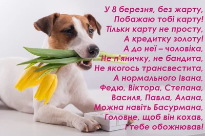 8 березня листівки прикольні укранською - фото 508673
