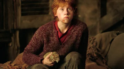 Руперт Грінт з "Гаррі Поттера" розповів, як було зніматися у франшизі 10 років поспіль