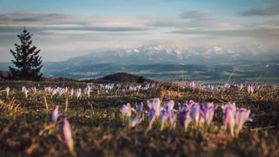 Мережу розриває відео про неймовірну красу України