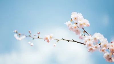 День ангела у квітні: календар іменин