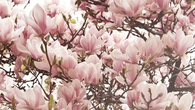 День ангела у травні: календар іменин