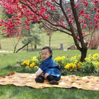 Новая фотосессия монархов Бутана в вишневом саду подорвала сеть - фото 509824