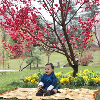Новая фотосессия монархов Бутана в вишневом саду подорвала сеть - фото 509825