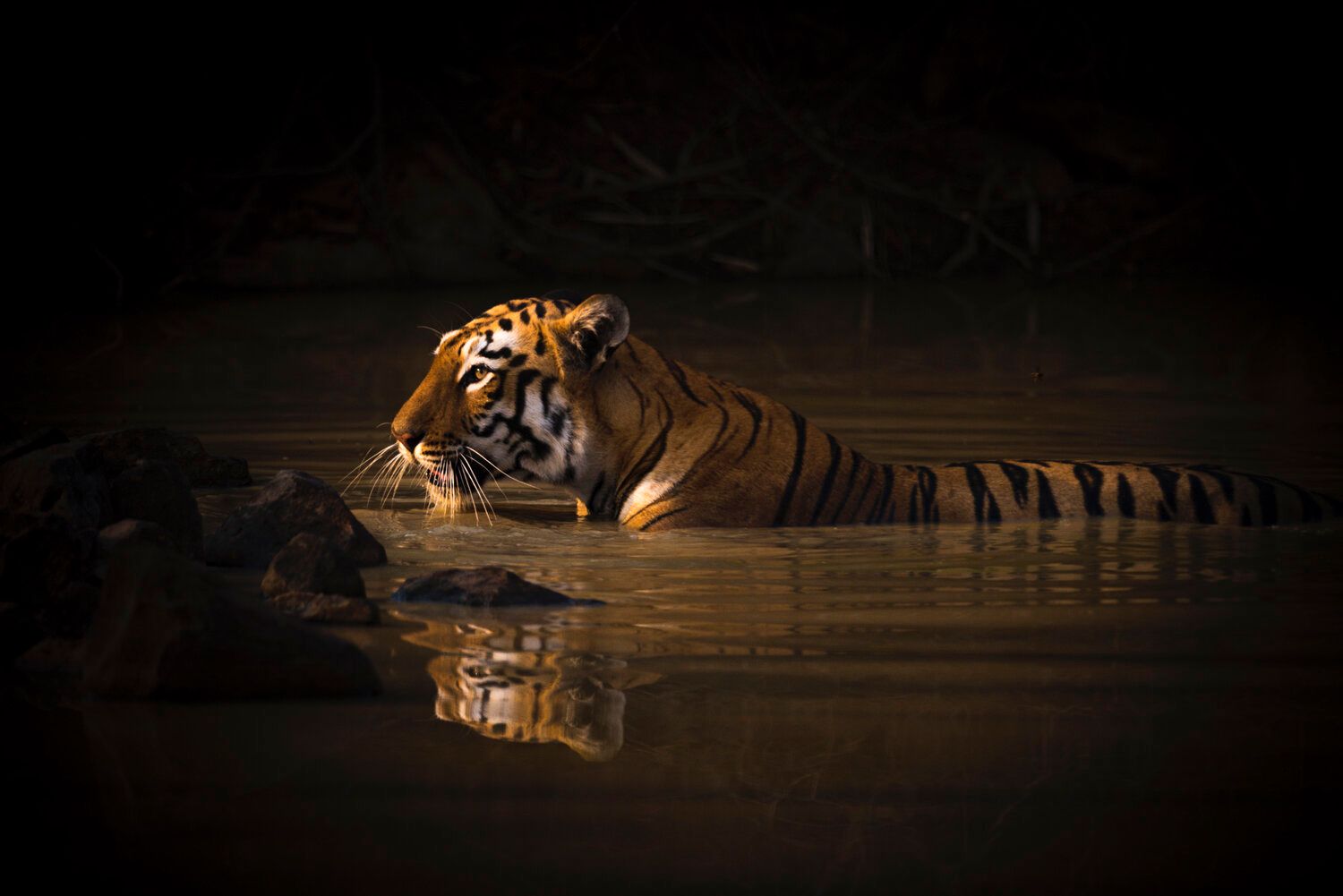 'Мир идет вниз головой' - лучшее фото природы по версии World Nature Photography Award - 510135 'Мир идет вниз головой' - лучшее фото природы по версии World Nature Photography Award - фото 510135