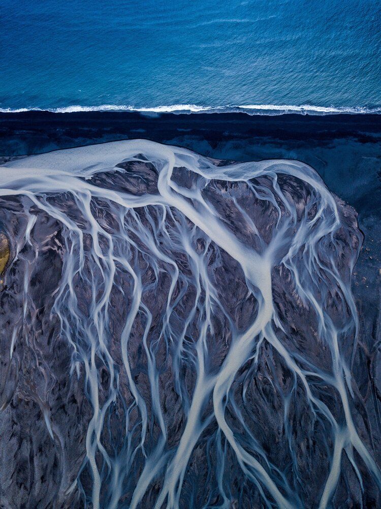 'Мир идет вниз головой' - лучшее фото природы по версии World Nature Photography Award - 510145 'Мир идет вниз головой' - лучшее фото природы по версии World Nature Photography Award - фото 510145
