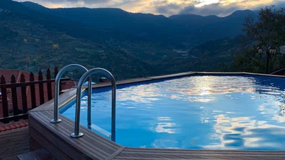 Медведь залез в джакузи и показал, как надо расслабляться