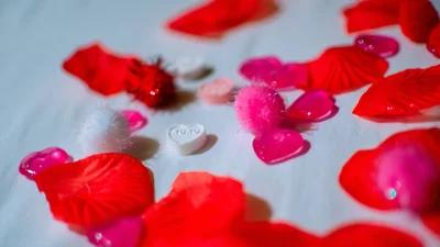 Нове дослідження показало, чого чоловіки та жінки хочуть від сексу