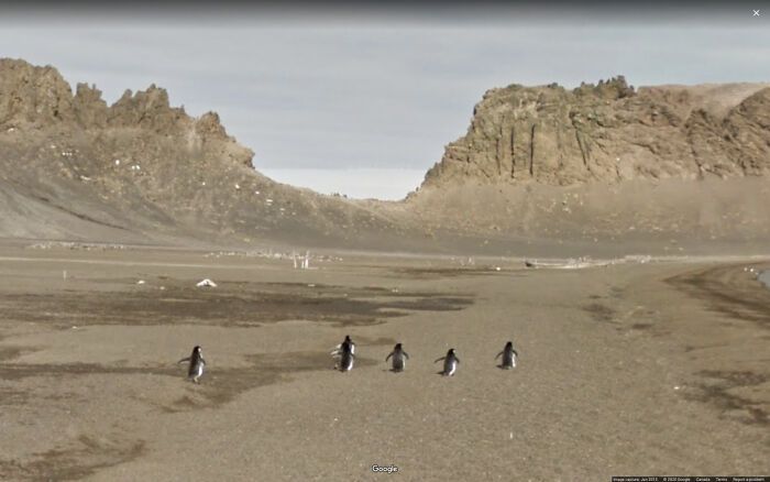 20 шедевральных фото, которые случайно сделал Google Street View - фото 510554