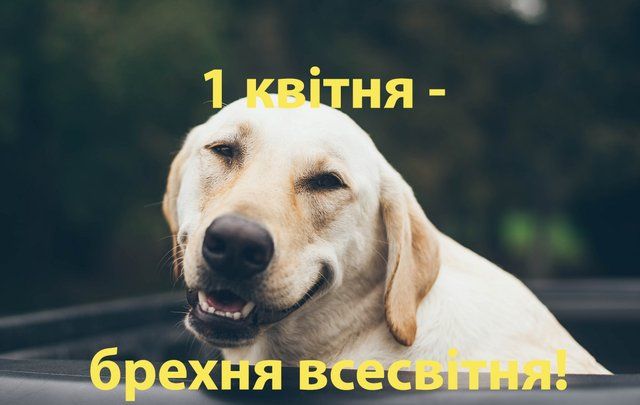 Картинки з 1 квітня 2021 прикольні - 510809 Картинки з 1 квітня 2021 прикольні - фото 510809