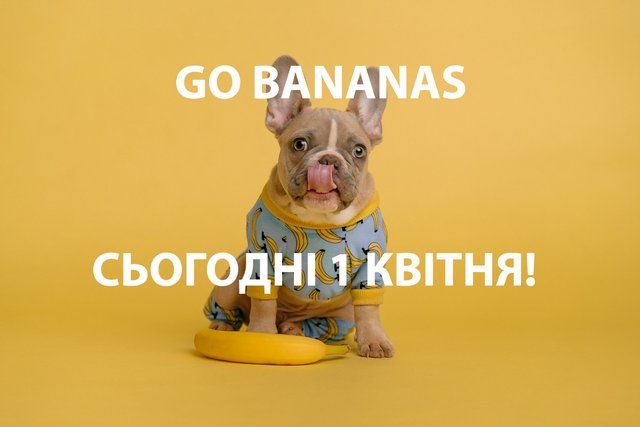 День сміху: листівки з 1 квітня смішні - 510812 День сміху: листівки з 1 квітня смішні - фото 510812