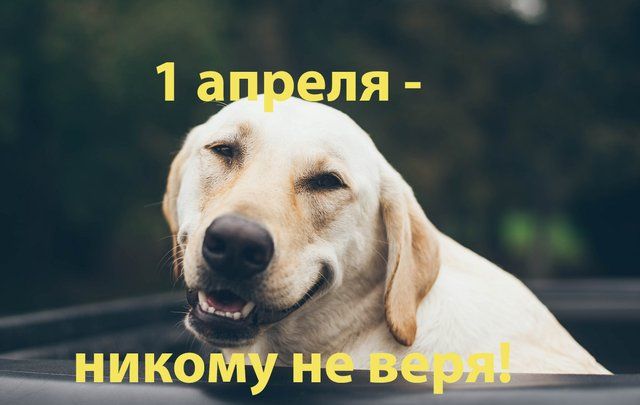 Картинки с 1 апреля 2021 прикольные - 510834 Картинки с 1 апреля 2021 прикольные - фото 510834