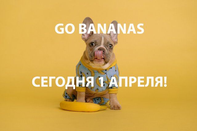 День смеха: открытки с 1 апреля смешные - 510835 День смеха: открытки с 1 апреля смешные - фото 510835