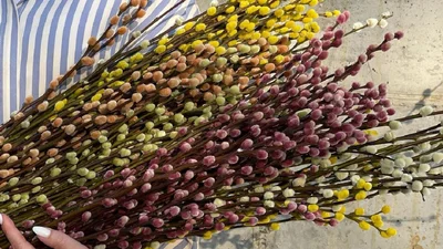 Вербное воскресенье 2021: идеи для букетов, венков и декора дома