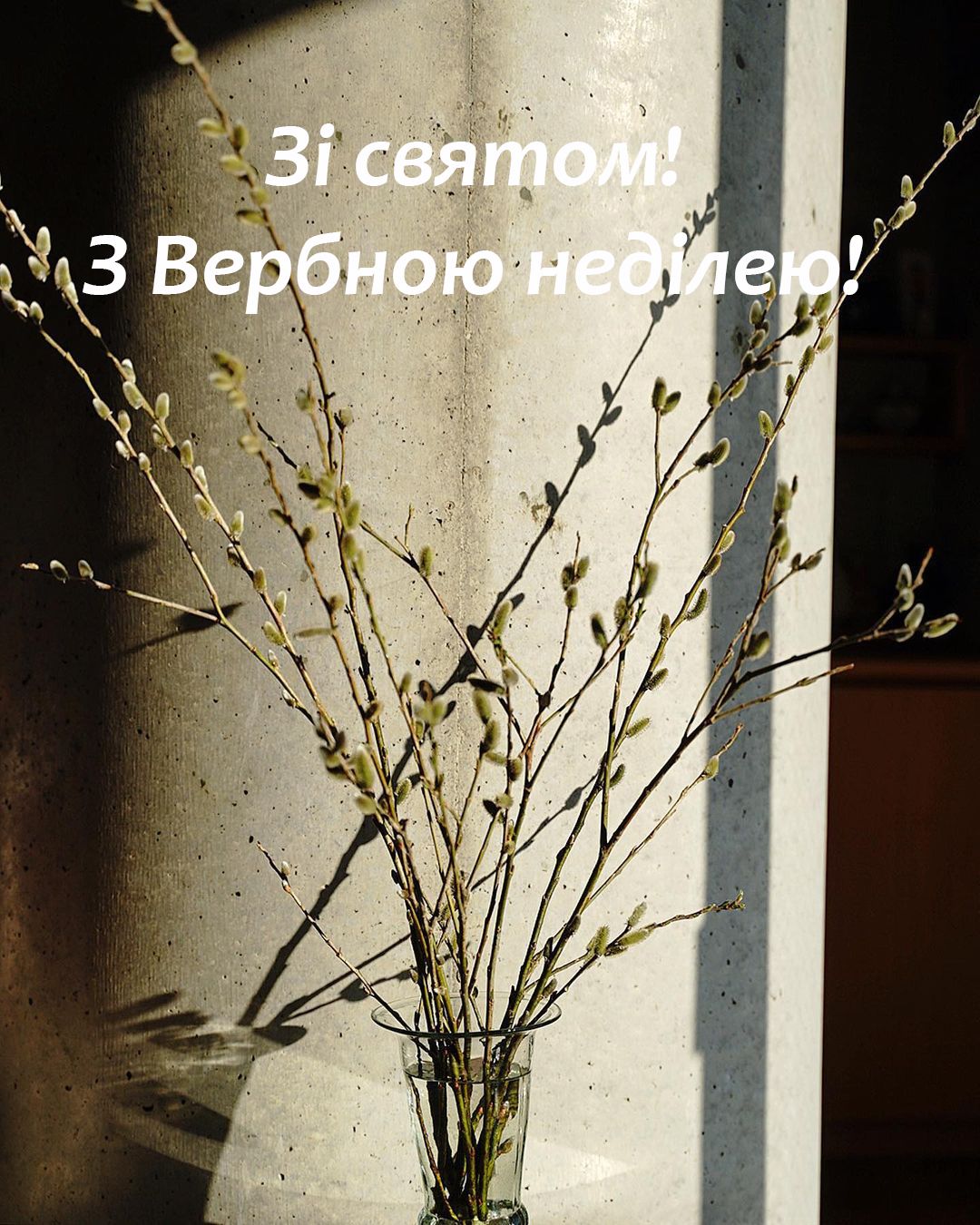Вербна неділя 2025: милі картинки і листівки до великого свята - фото 512825