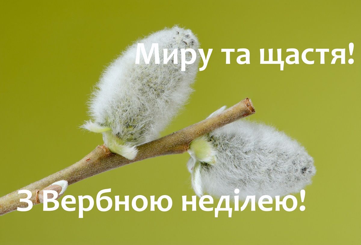 Вербна неділя 2025: милі картинки і листівки до великого свята - фото 512826