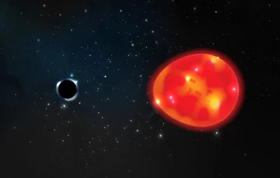 Астрономы обнаружили и показали самую близкую к Земле черную дыру - фото 513281