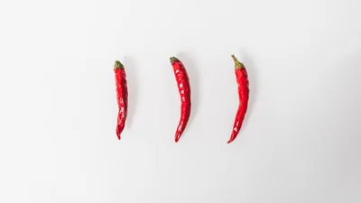 Пес наївся гострих чіпсів, і його реакція розсмішила весь інтернет