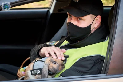 Поліцейські Дніпра привітали людей з Великоднем милою фотосесією з кроликом - фото 513570