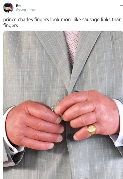 Пальцы-сосиски принца Чарльза стали топовым Google-запросом среди британцев - фото 513797