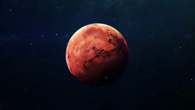 Вчені неочікувано розгледіли на новому фото з Марса гриби