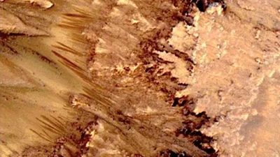 Вчені неочікувано розгледіли на новому фото з Марса гриби - фото 514004