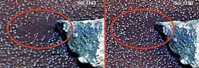 Ученые неожиданно разглядели на новом фото с Марса грибы - фото 514005