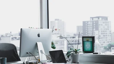 TikTok создаст приложение для поиска работы - вместо резюме будут видео