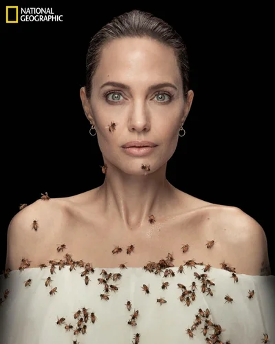 Не рухалася 18 хвилин: Анджеліна Джолі знялася у ризиковій фотосесії з роєм бджіл - фото 515245