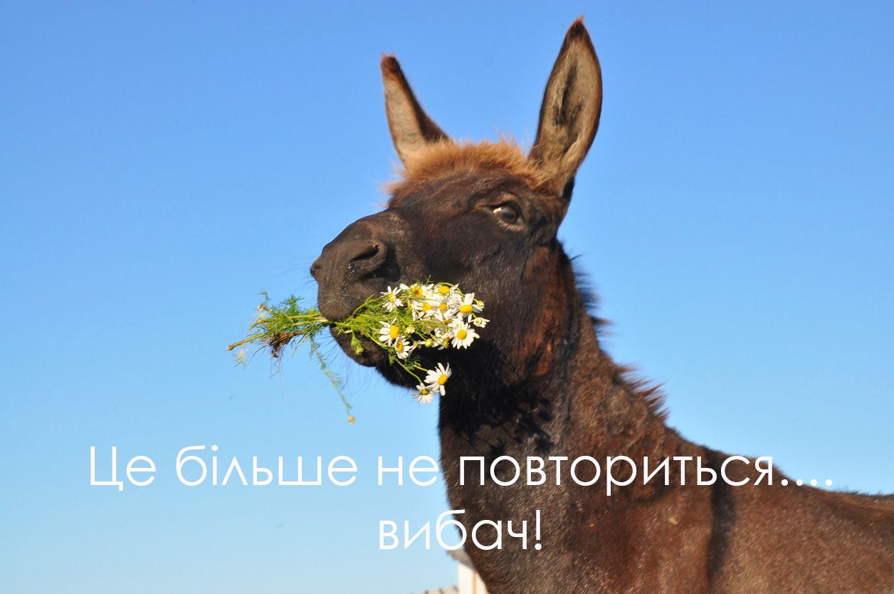 Прикольные картинки с извинениями для тех, кто налажал - 516788 Прикольные картинки с извинениями для тех, кто налажал - фото 516788