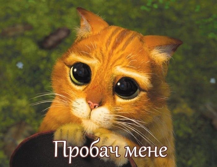 Прикольные картинки с извинениями для тех, кто налажал - 516789 Прикольные картинки с извинениями для тех, кто налажал - фото 516789